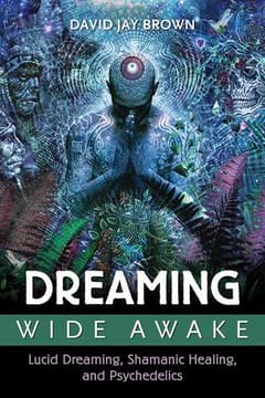 Dreaming Wide Awake: Lucid Dreaming, Shamanic Healing, and Psychedelics – David Jay Brown