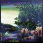 Fleetwood Mac – Tango In The Night